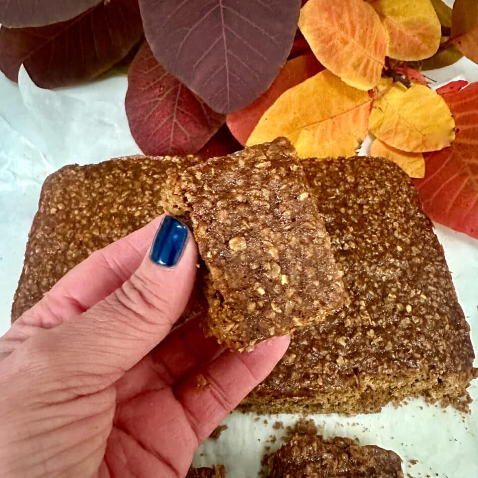 Yorkshire Parkin – delicious!